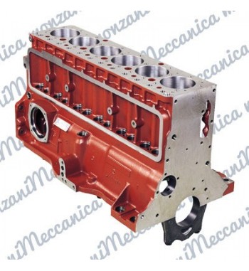 BASAMENTO – REVISIONATORENAULT - 1.9 DS 8V -...